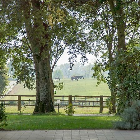 Tenuta Mariano Noceto Luaran gambar